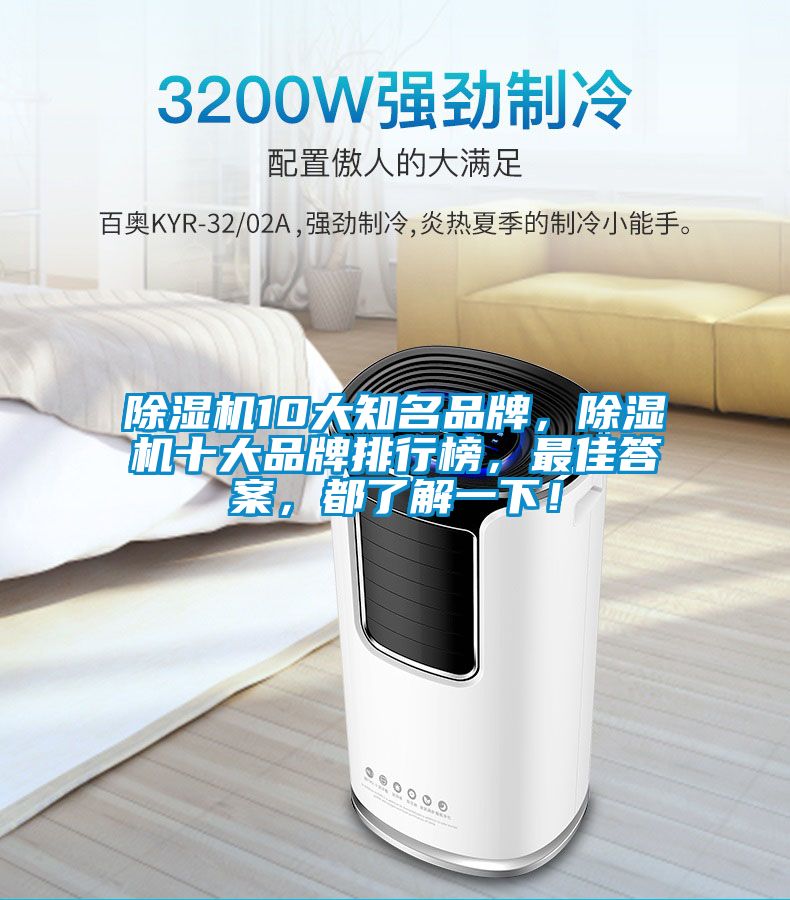 除濕機10大知名品牌，除濕機十大品牌排行榜，最佳答案，都了解一下！