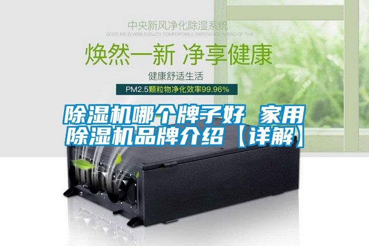 除濕機哪個牌子好 家用除濕機品牌介紹【詳解】