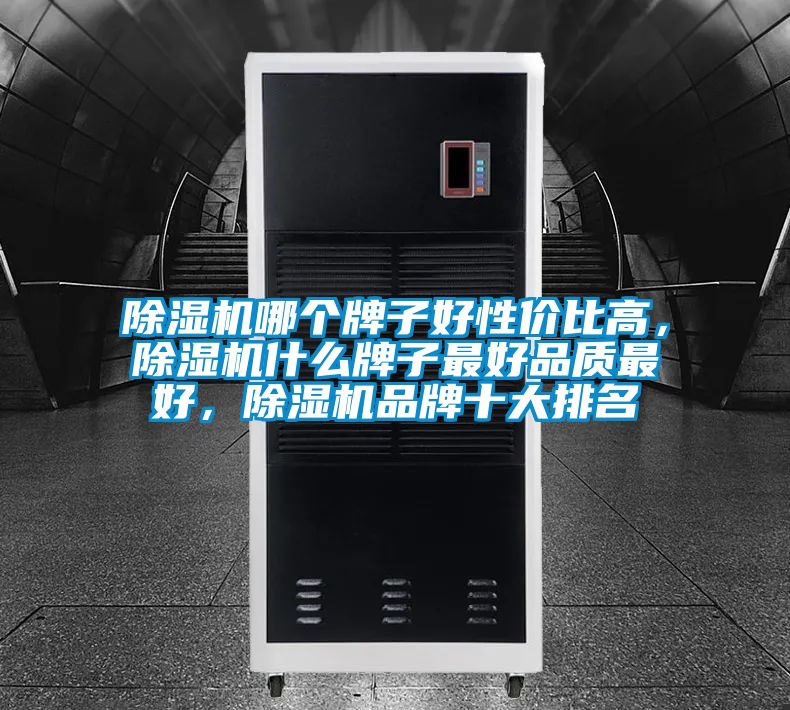 除濕機哪個牌子好性價比高，除濕機什么牌子最好品質最好，除濕機品牌十大排名