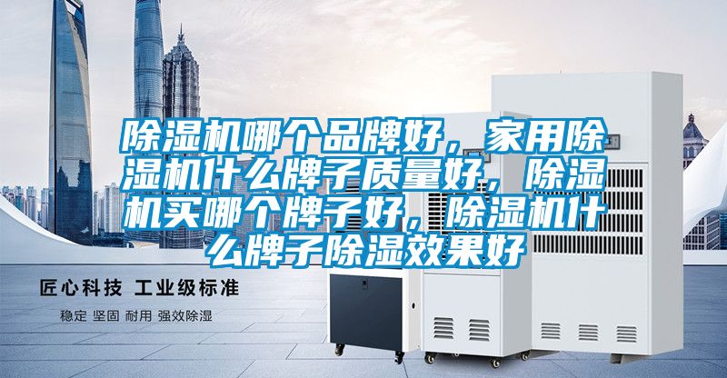 除濕機(jī)哪個(gè)品牌好，家用除濕機(jī)什么牌子質(zhì)量好，除濕機(jī)買哪個(gè)牌子好，除濕機(jī)什么牌子除濕效果好