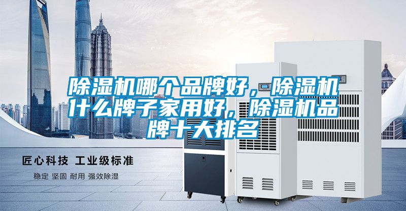 除濕機(jī)哪個(gè)品牌好，除濕機(jī)什么牌子家用好，除濕機(jī)品牌十大排名