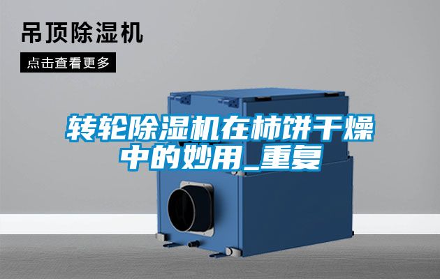 轉輪除濕機在柿餅干燥中的妙用_重復