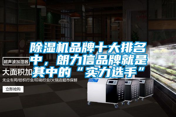 除濕機品牌十大排名中，朗力信品牌就是其中的“實力選手”