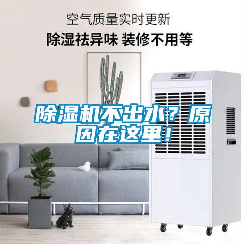 除濕機不出水？原因在這里！