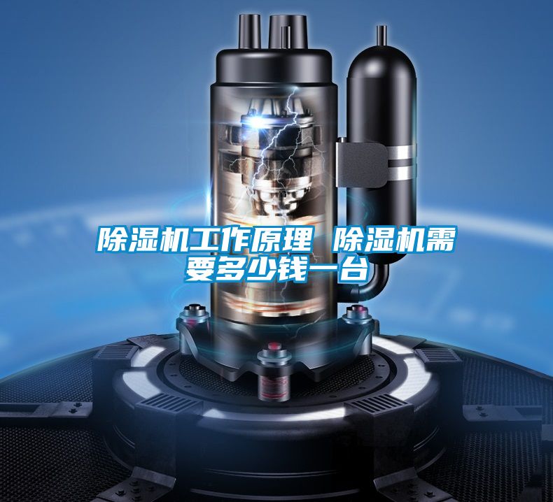 除濕機工作原理 除濕機需要多少錢一臺