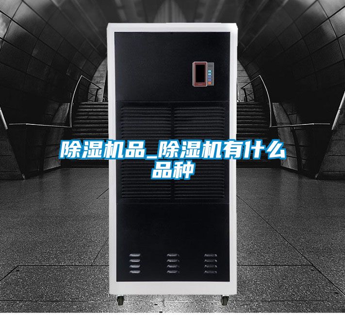 除濕機品_除濕機有什么品種