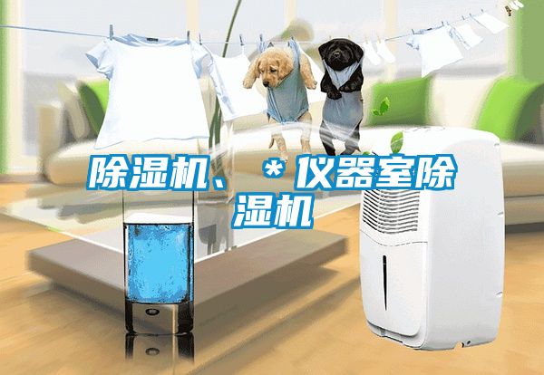 除濕機、＊儀器室除濕機