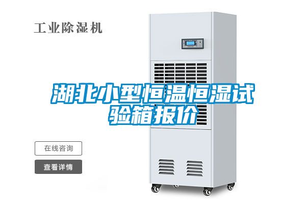 湖北小型恒溫恒濕試驗箱報價