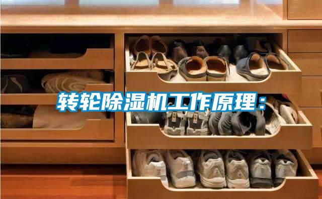 轉(zhuǎn)輪除濕機工作原理：
