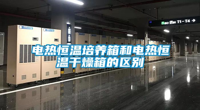 電熱恒溫培養箱和電熱恒溫干燥箱的區別