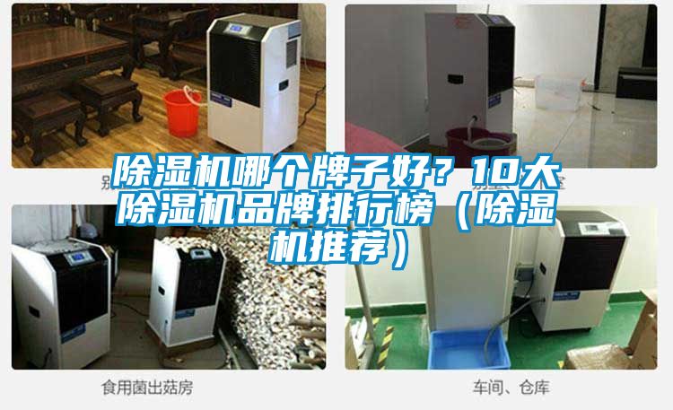 除濕機哪個牌子好？10大除濕機品牌排行榜（除濕機推薦）