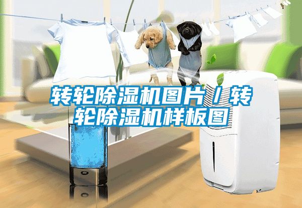 轉輪除濕機圖片／轉輪除濕機樣板圖