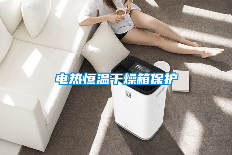 電熱恒溫干燥箱保護