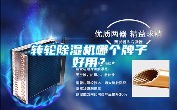 轉輪除濕機哪個牌子好用？