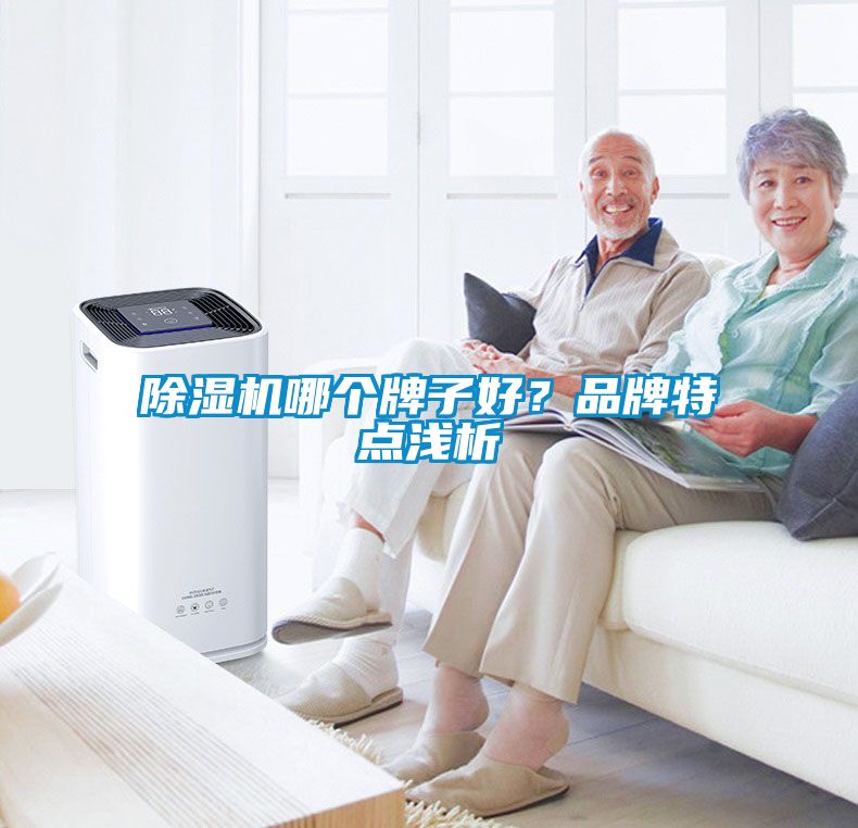 除濕機哪個牌子好？品牌特點淺析