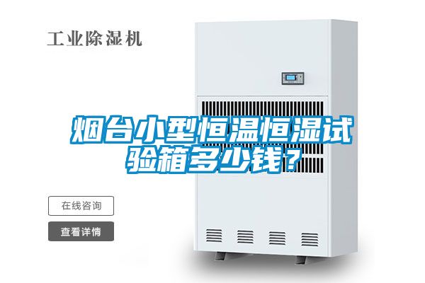 煙臺小型恒溫恒濕試驗箱多少錢？