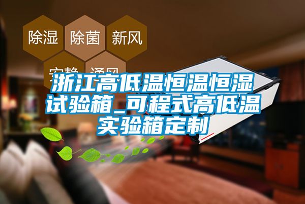浙江高低溫恒溫恒濕試驗箱_可程式高低溫實驗箱定制