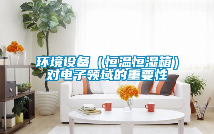 環境設備（恒溫恒濕箱）對電子領域的重要性