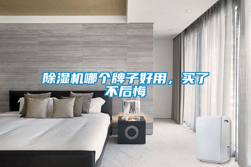 除濕機哪個牌子好用，買了不后悔