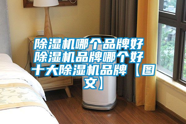 除濕機哪個品牌好 除濕機品牌哪個好 十大除濕機品牌【圖文】