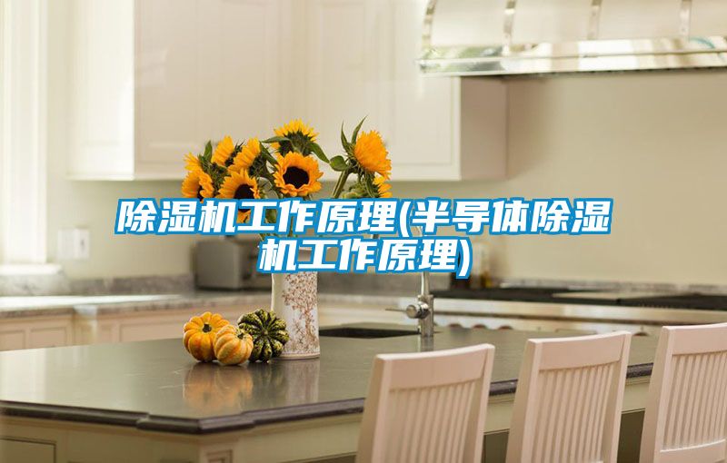 除濕機工作原理(半導體除濕機工作原理)