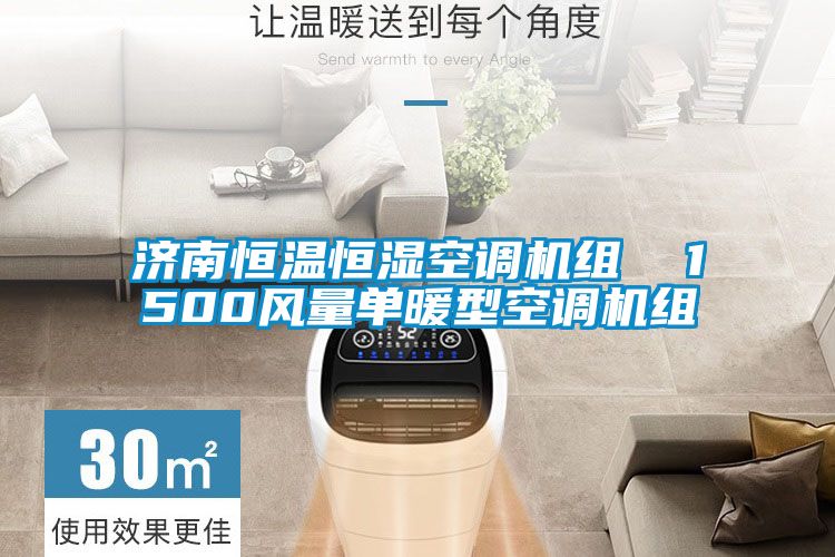 濟南恒溫恒濕空調(diào)機組  1500風(fēng)量單暖型空調(diào)機組
