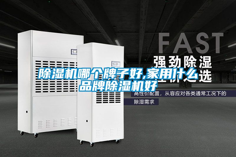 除濕機哪個牌子好,家用什么品牌除濕機好