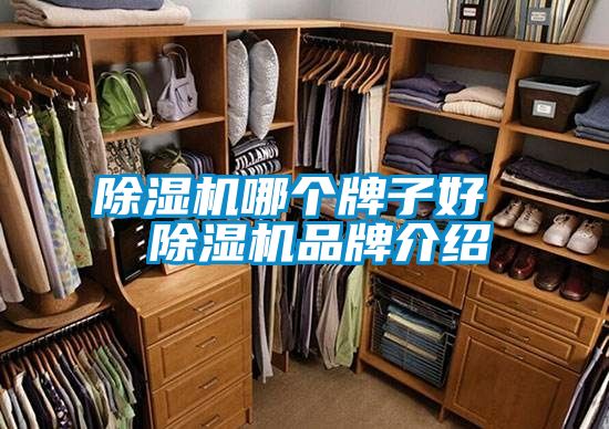 除濕機哪個牌子好  除濕機品牌介紹