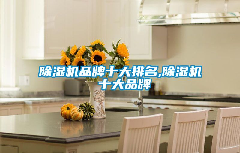 除濕機品牌十大排名,除濕機 十大品牌