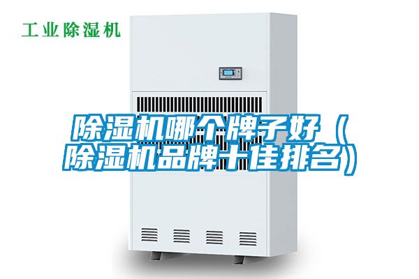 除濕機(jī)哪個牌子好（除濕機(jī)品牌十佳排名）