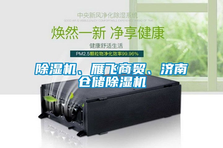 除濕機、雁飛商貿、濟南倉儲除濕機
