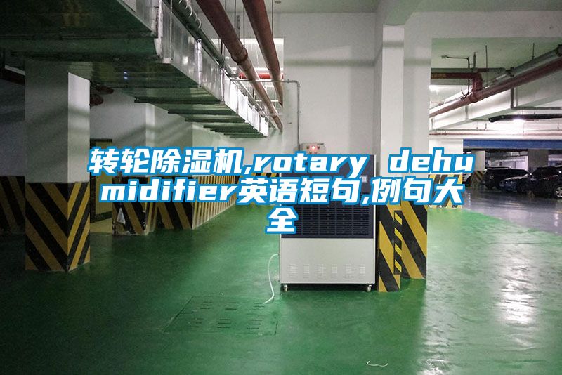 轉輪除濕機,rotary dehumidifier英語短句,例句大全