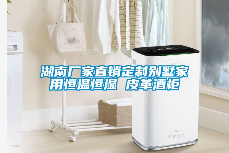湖南廠家直銷(xiāo)定制別墅家用恒溫恒濕 皮革酒柜