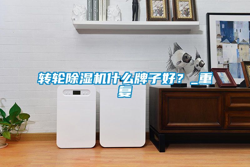 轉輪除濕機什么牌子好？_重復
