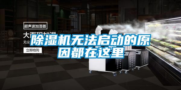 除濕機(jī)無法啟動(dòng)的原因都在這里