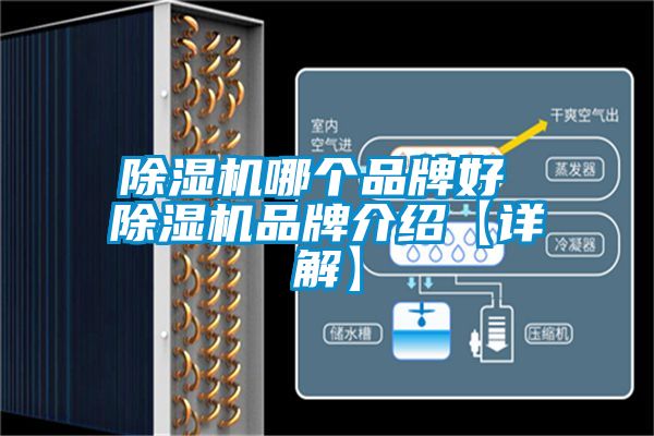 除濕機哪個品牌好 除濕機品牌介紹【詳解】
