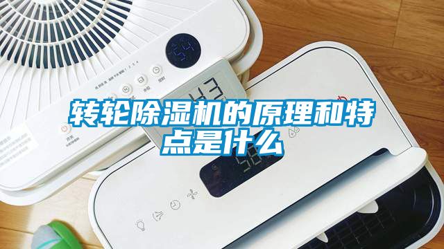 轉(zhuǎn)輪除濕機(jī)的原理和特點(diǎn)是什么