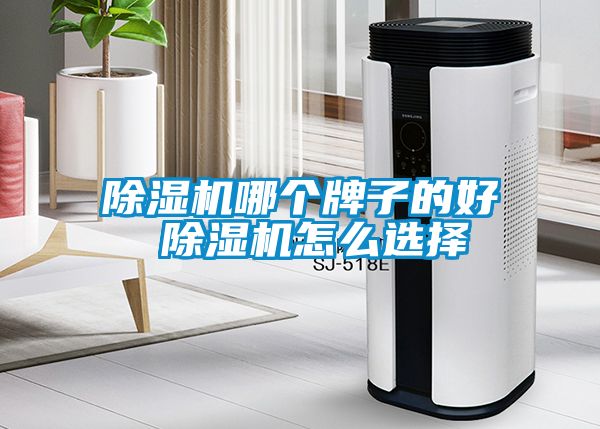 除濕機哪個牌子的好 除濕機怎么選擇