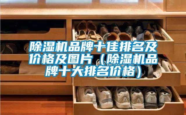 除濕機品牌十佳排名及價格及圖片（除濕機品牌十大排名價格）