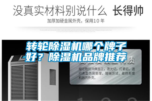 轉(zhuǎn)輪除濕機哪個牌子好？除濕機品牌推薦