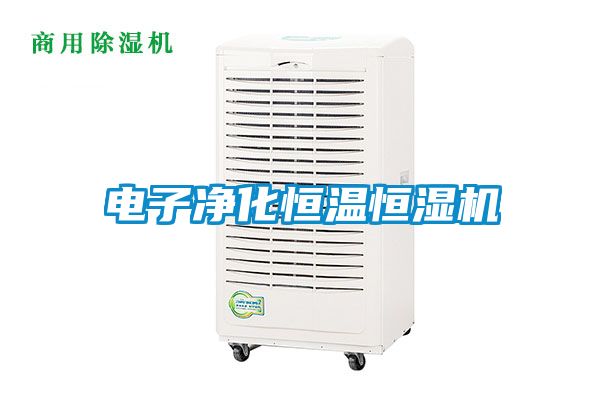 電子凈化恒溫恒濕機