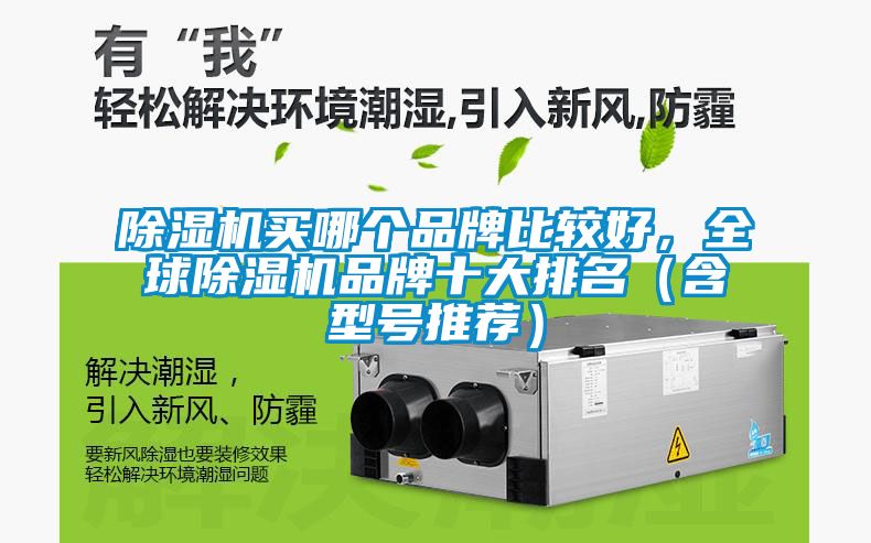 除濕機買哪個品牌比較好，全球除濕機品牌十大排名（含型號推薦）