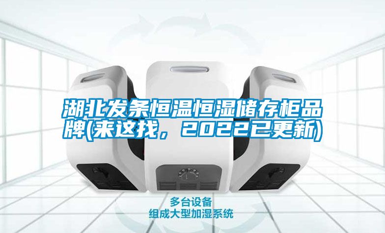 湖北發條恒溫恒濕儲存柜品牌(來這找，2022已更新)