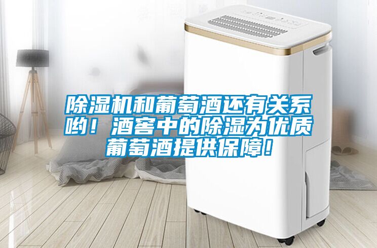 除濕機(jī)和葡萄酒還有關(guān)系喲！酒窖中的除濕為優(yōu)質(zhì)葡萄酒提供保障！