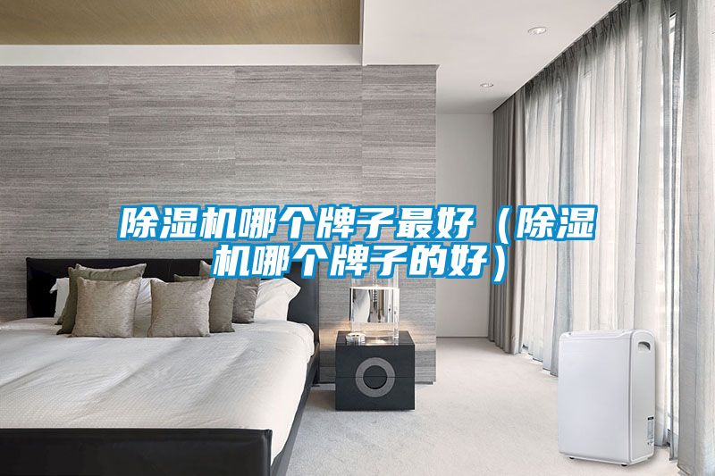 除濕機哪個牌子最好（除濕機哪個牌子的好）