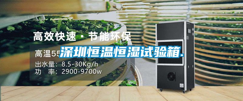 深圳恒溫恒濕試驗箱.
