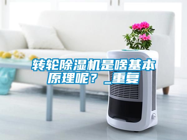 轉輪除濕機是啥基本原理呢？_重復