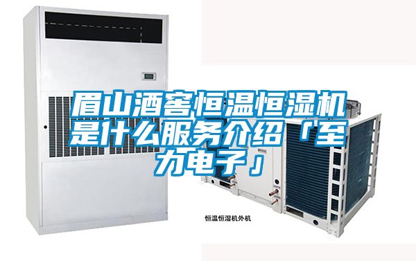 眉山酒窖恒溫恒濕機是什么服務介紹「至力電子」