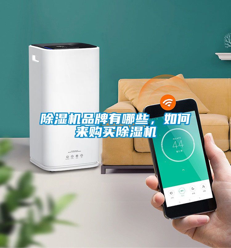 除濕機品牌有哪些，如何來購買除濕機