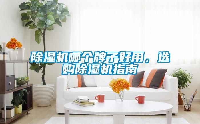 除濕機哪個牌子好用，選購除濕機指南